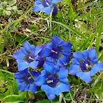 Panoramablick Line בית נופש *