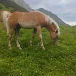 בית נופש Panoramablick Line