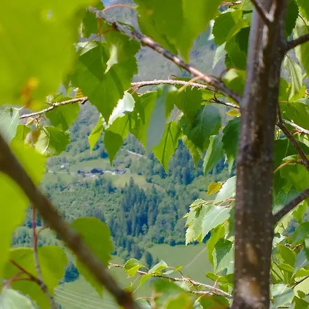 Panoramablick Line 度假居