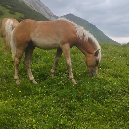 度假居 Panoramablick Line
