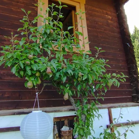 Panoramablick Line Ferienhaus