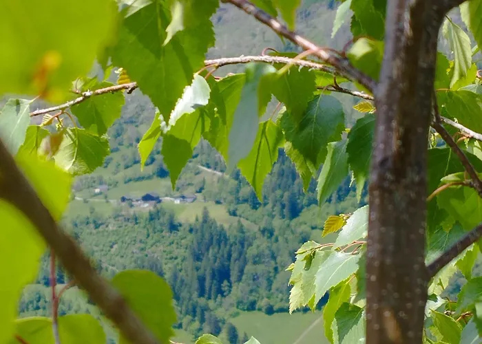 Panoramablick Line Dom wakacyjny