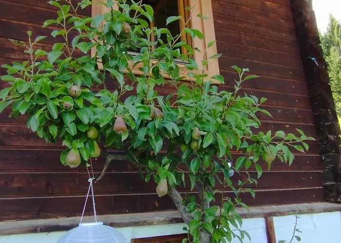 Panoramablick Line Dom wakacyjny