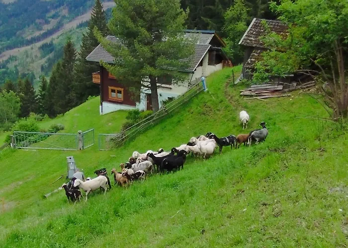 Panoramablick Line * Winklern (Spittal an der Drau)